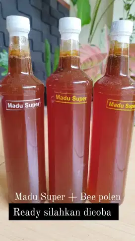 Madu super + Bee Polen AsLi