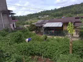 BU*TURUN HARGA*JUAL CEPAT TANAH DI PASIR IMPUN ATAS NEGO SAMPAI JADI