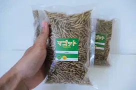 MAGOTTO Maggot kering BSF Grade A+ Pakan ikan
