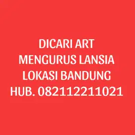 DICARI ART SEKALIGUS MENGURUS LANSIA