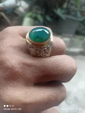 Natural bacan gulau kura tali hitam lawas HQ