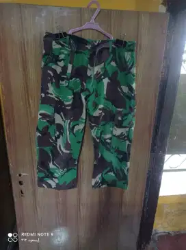 Malvines Ankle Pants