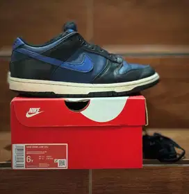 Nike air Dunk size 38.5