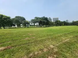 JUAL CEPAT  Tanah Kavling Suvarna belakangnya langsung danau golf