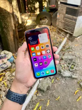 Iphone Xr 128gb Coral Imei Bea Cukai