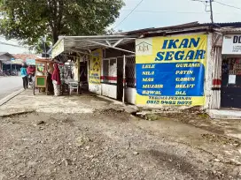 Dicari Tukang bersihin ikan dan penjaga kios