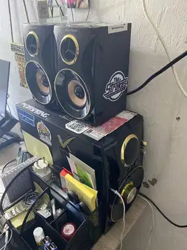 Polytron soundsystem