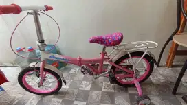Edisi gak pernah dipake Sepeda anak Family