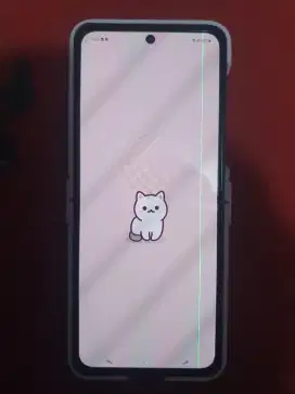 Samsung z flip 3 8/256