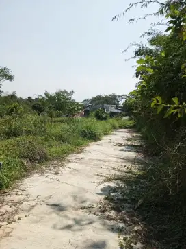 Juap cepat BU Tanah di gunung pati. Mangunsari. Kampus STIKES. 120 m.