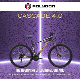 Polygon Cascade 4.0 27,5