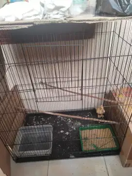 Kandang burung jumbo