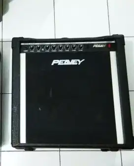 Ampli Gitar 12inch