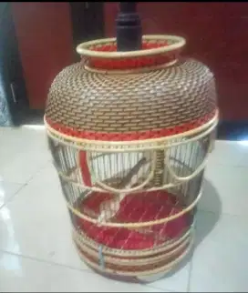 Sangkar Burung murah aja