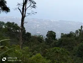 Tanah View Laut dekat Munduk dan Wanagiri Bali