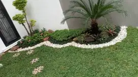 Jual rumput dan terima jasa pasang taman