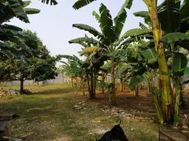 DIJUAL DI JLN PSIOK BINTARO JAKARTA SELATAN