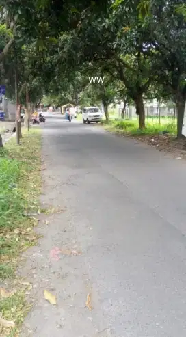 Jual tanah lokasi desa karangasem dekat UMS luas 1279m hrg 6t/m nego