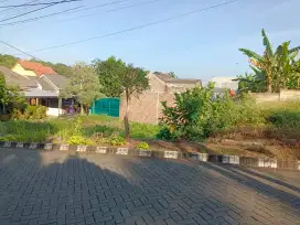 TANAH TERLARIS DI NGALIYAN