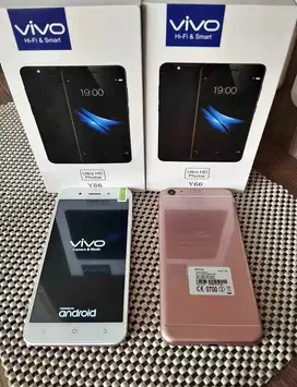 Vivo Y66 4/64 New