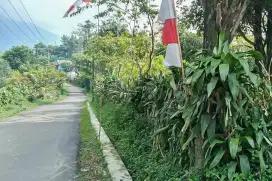 TANAH KEBUN 1775 M2 SHM TENJOLAYA BOGOR HRG NEGO