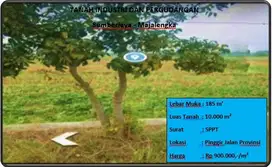 tanah industri Dan pergudangan