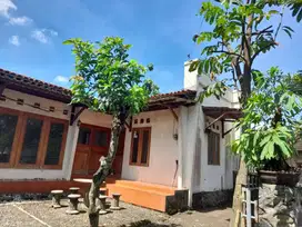 RUMAH DENGAN TANAH BESAR, TOHUDAN, COLOMADU, KARANGANYAR, SOLO