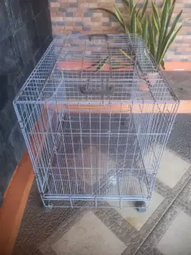Kandang kucing angora/persia