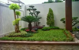 Jasa pembuatan taman kering taman bermain dll #14