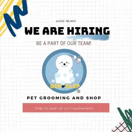 Lowongan Asisten Groomer dan Stylist Hewan Berpengalaman