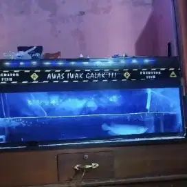 Aquarium second