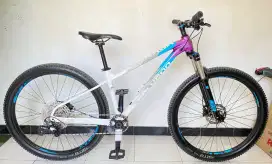 Polygon Xtrada 7.0 Terbaru