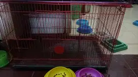Kandang kucing 60x40x40