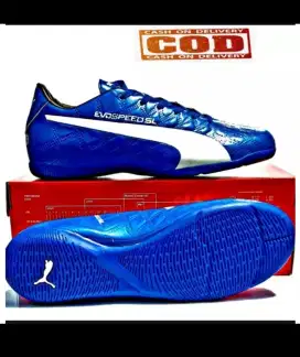 Sepatu Futsal Pria