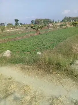 Jual tanah zona merah lokasi dekat pom gondangrejo luas 1H hrg 425rb/m