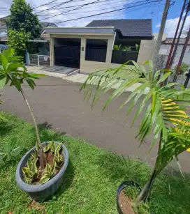 Dijual Cepat Rumah di Nusaloka BSD