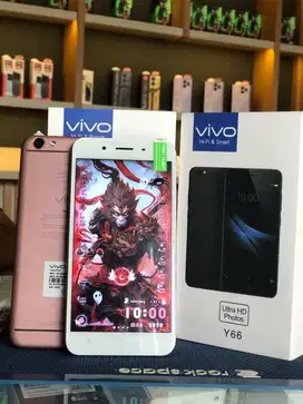 Vivo Y66 4/64 mulus