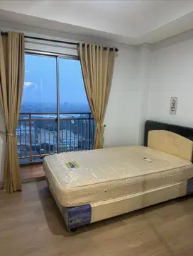 Dijual cepat (disewakan) unit Studio  Springwood residence Alam Sutera