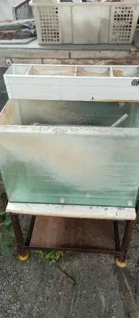 Aquarium + rak + talang