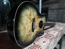 Gitar Original Washburn
