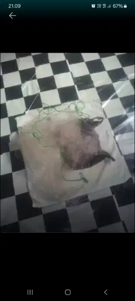 Jala ikan 3 tepak