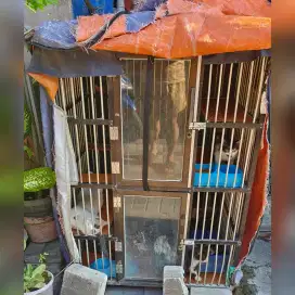 KANDANG KUCING 2 TINGKAT ,