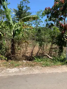 Tanah Bagus & Murah Hadap Jalan Aspal Dapat View Gunung