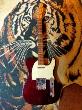 Squier aniverssary50