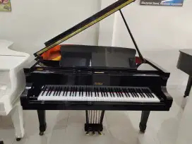 Grand Piano Petrof type V Build Up Cheko