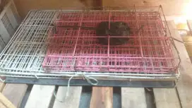 kandang kucing uk 75 dan 50