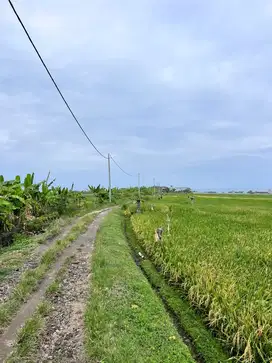 Jual tanah kavling 250 meter ke pantai