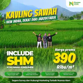 Tanah Kavling Sawah Murah View Pegunungan Bogor Timur