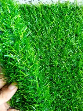 Rumput sintetis plus pasang