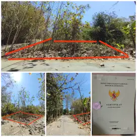 Dijual Tanah Strategis Murah di Sentolo, Kulon Progo, Yogyakarta